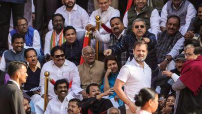 Vacancy for cameraman in our MP Ravi Kishan's studio: BJP chief JP Nadda's swipe at Rahul Gandhi
