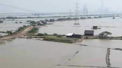 TN Rains 2023: Schools, Colleges To Remain Closed Today In Tamil Nadu's ...