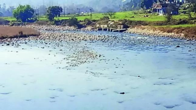 Uttarakhand: ‘Lost’ city under Almora? ASI plans to explore