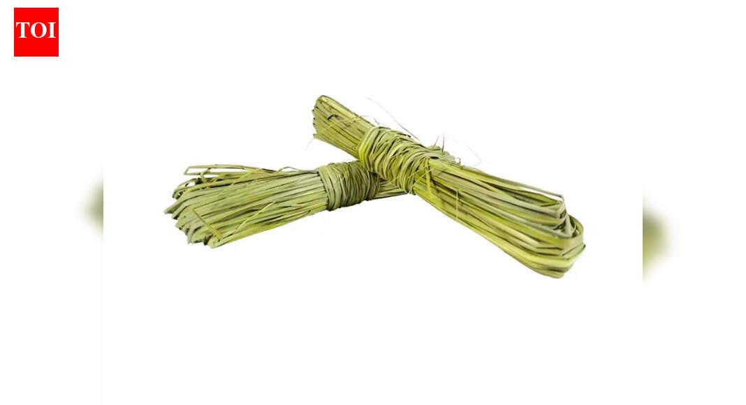 Why Kusha or Durba grass is considered so sacred?