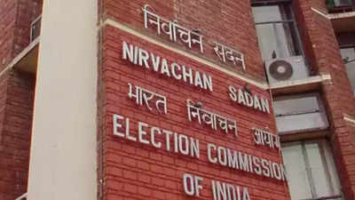 Don't use derogatory terms for disabled, EC tells political parties