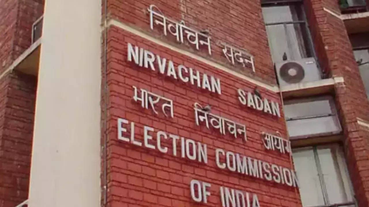 Don't use derogatory terms for disabled, EC tells political parties | India  News - Times of India
