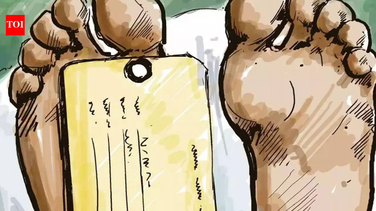3 die as SUV crashes into roadside tree in Nawada | Patna News - The ...