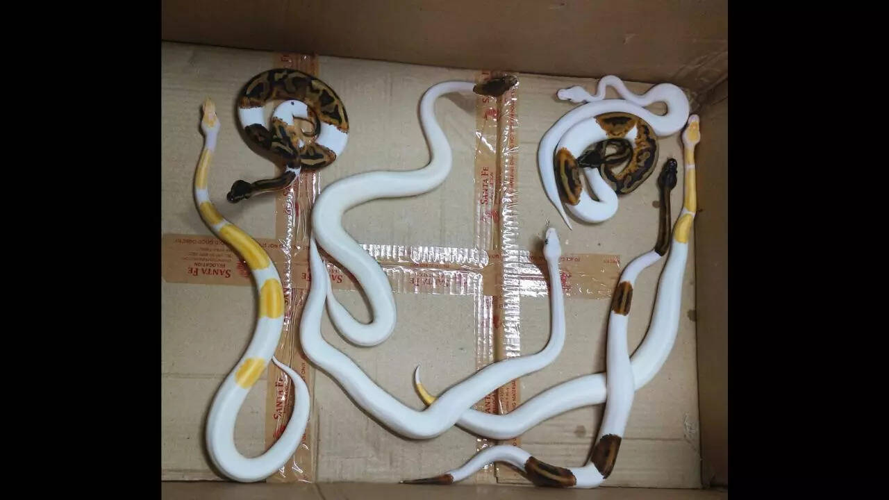 送料込EP ～白い水～ 愛なんていらない 再会（ピアノのある店で）藤原