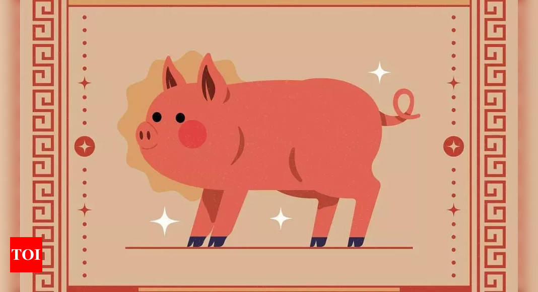 Aim High, Stay Stable Pig Chinese Horoscope 2024's blueprint for
