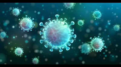 Covid cases up in Kerala, over 500 test +ve daily