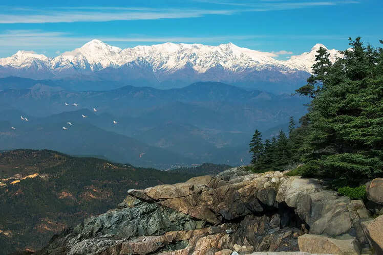 Binsar