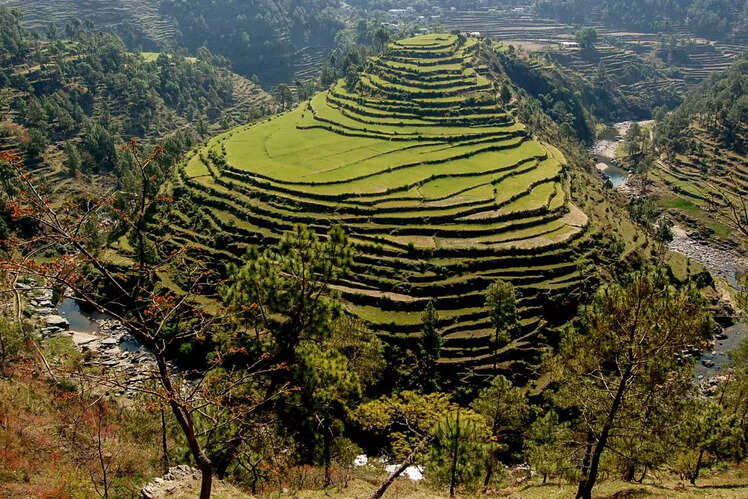 Almora