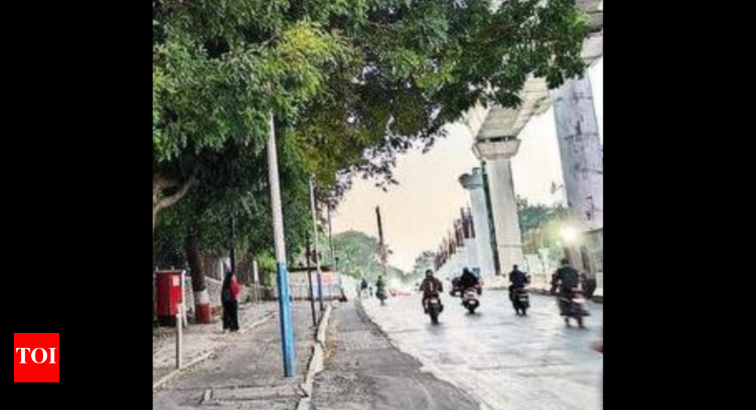 HC sets up panel to suggest plan for Ganeshkhind Road alignment Pune