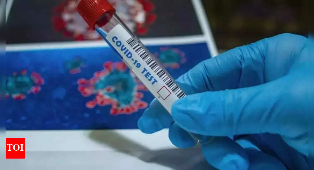 Covid Cases Goa’s active Covid caseload at 24 Goa News Times of India