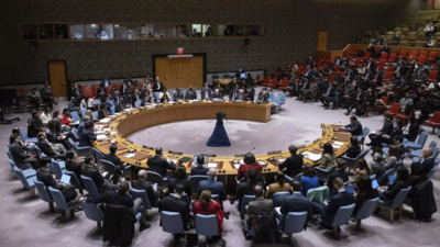 UN Security Council adopts resolution calling for increased ...