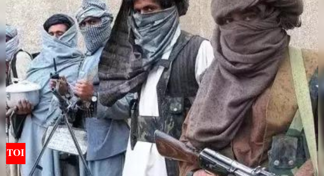 Wanted TTP commander killed in Pakistan's Punjab province: Police ...