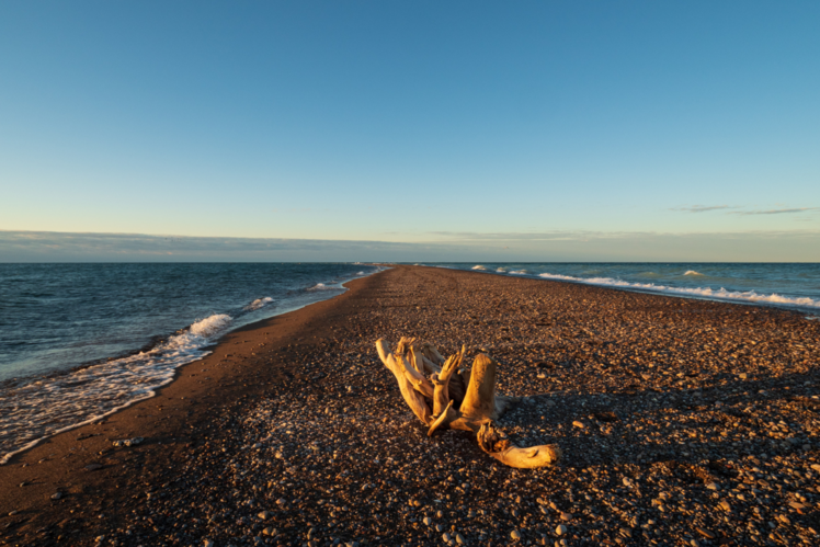 Point Pelee National Park