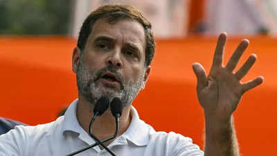 India's economy growing but wealth not getting distributed: Rahul Gandhi