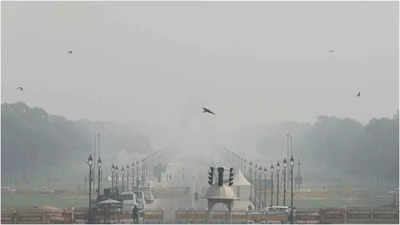 Air Quality In 'severe' Category In Delhi, Maximum Temperature 24.4 ...