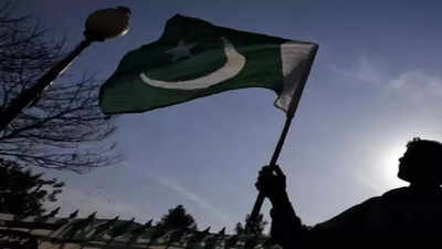 Pakistan Tehreek-e-Insaf to move court to regain party symbol 'bat'