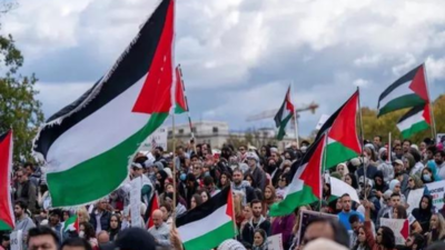 ‘Decolonize US': Minnesota professor calls for radical change at pro-Palestinian event