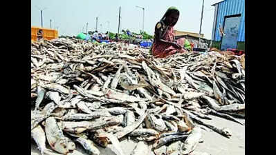 Floods wash away Christmas joy in coastal Tuticorin