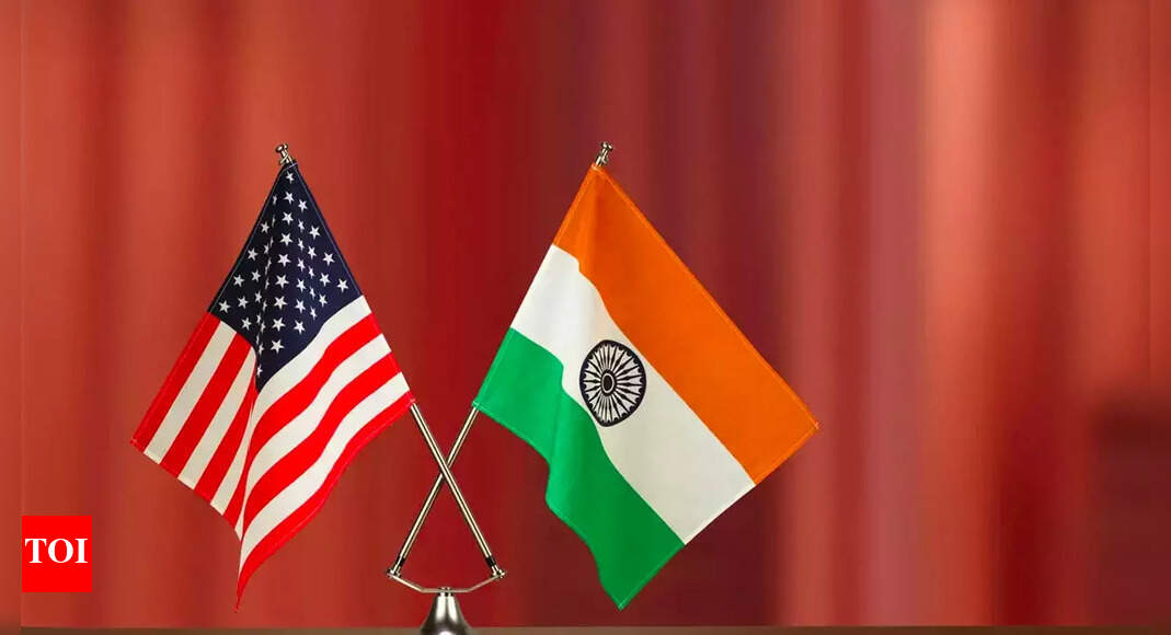 India to take up fast-tracking visas for skilled workers, easier market access for mangoes & grapes with US – Times of India