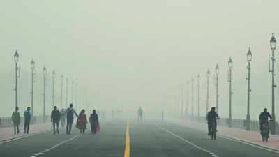 Dense fog envelopes parts of North India, reduces visibility