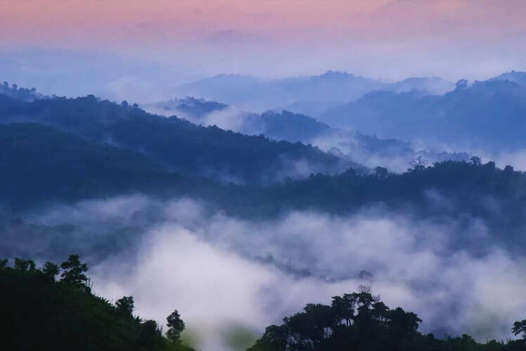 Murlen National Park, Mizoram