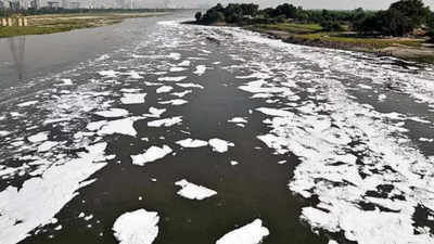 Ammonia in Yamuna high, water treatment at 2 plants down 25%