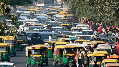 It's a zoo out there! Delhi's Mathura Road bottlenecks need urgent solutions