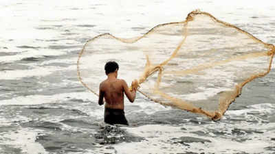 Black Fishing Net at Rs 400/piece in Meerut