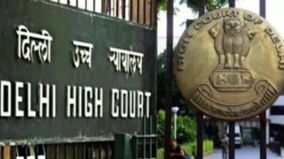 Federalism basic structure of Constitution, not diluted by using 'Central government' instead of 'Union': Delhi high court