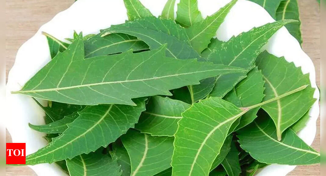 Neem Leaves Benefits Lesser known secrets of Neem leaves Health