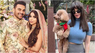 Two days after Arbaaz Khan's wedding with Shura Khan, his ex-girlfriend Giorgia Andriani spotted walking her dog in the city