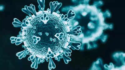 Rising pollution, climate change to blame for attack of viruses