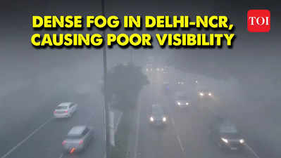 Delhi Weather News: Dense Fog Engulfs Delhi-NCR Amid Orange Alert; 110 ...