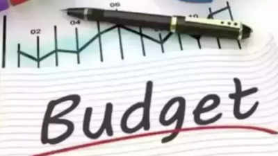 Edu, power and health lead as 55% budget allocation spent in 8 months