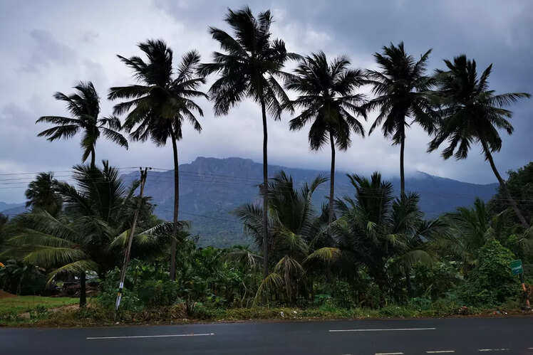 Kolli Hills, Tamil Nadu