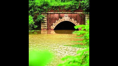 A 12 crore plan to redevelop TS canal