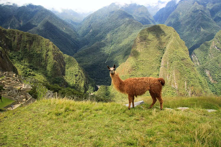 Andes, South America