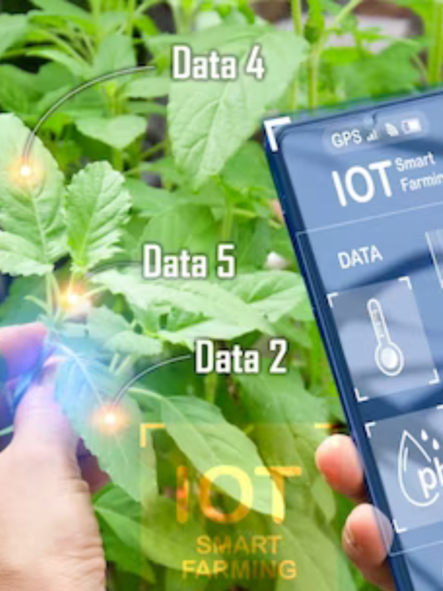 Top 10 Gardening Apps Available For Android Users Times Now