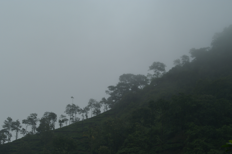 Idukki