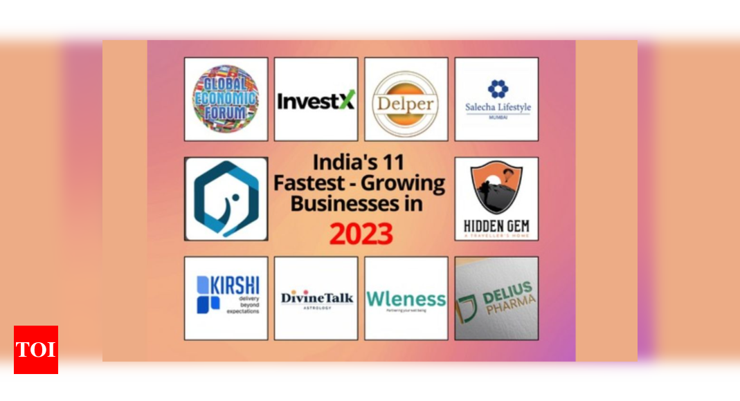 India's 11 Fastest-Growing Businesses In 2023 - Times Of India