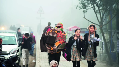 Mornings too foggy, Noida & Ghaziabad shut schools for 2 days