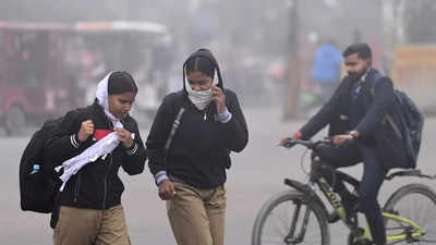 Noida: All schools to stay closed on Dec 29, 30 due to cold, teachers to work