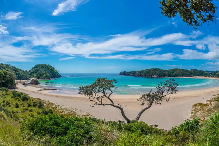 Matapouri Bay, New Zealand