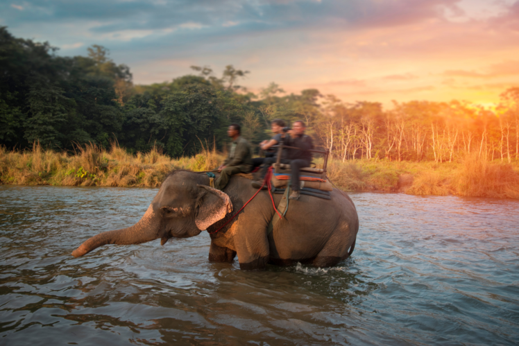 Chitwan National Park
