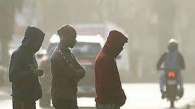 Wait until Jan 7 for typical winter chill across Maharashtra, IMD forecasts
