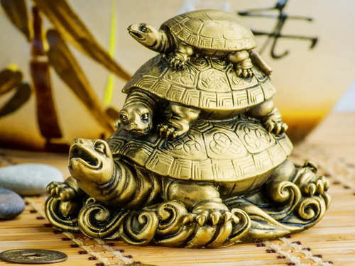 Keeping the beat: Turtle shells served as symbolic musical instruments for  indigenous cultures