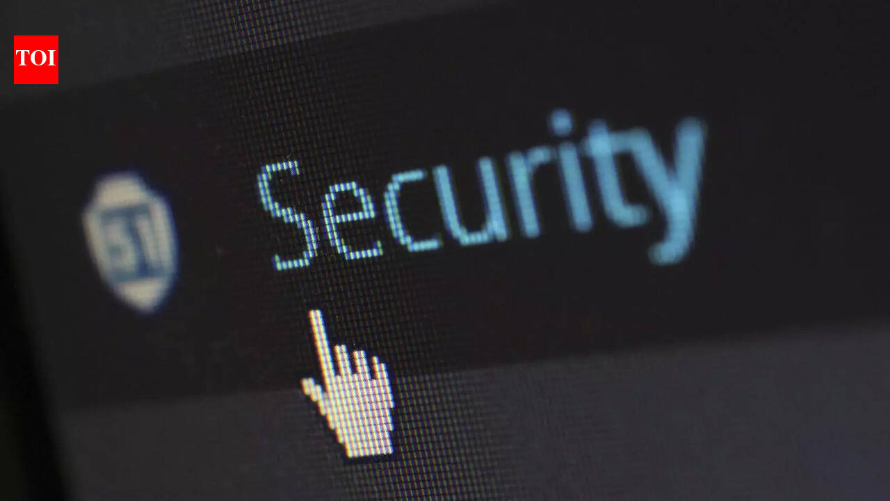 5 common hacking tactics to watch out for in 2024 - The Times of India