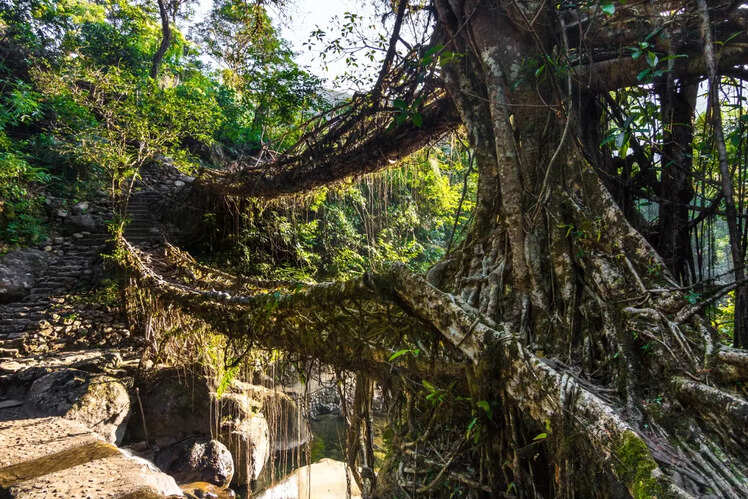 Mawlynnong, Meghalaya