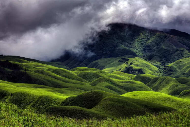 Dzukou Valley, Nagaland