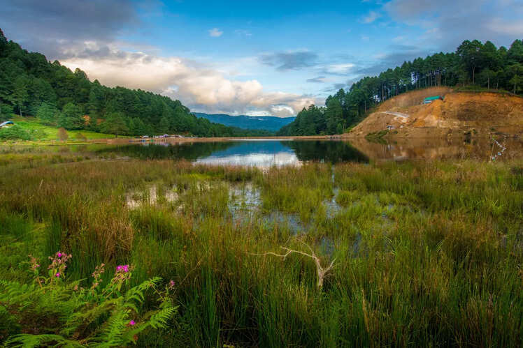 Ziro Valley, Arunachal Pradesh